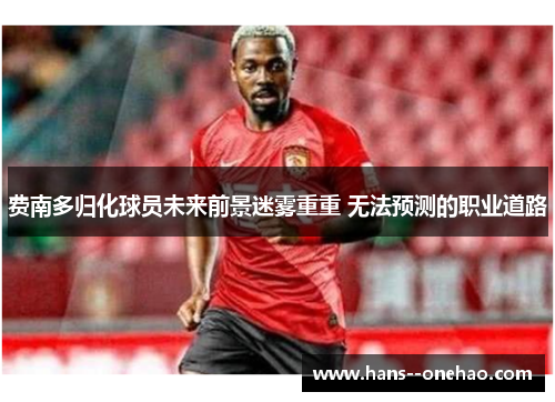 费南多归化球员未来前景迷雾重重 无法预测的职业道路