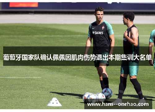 葡萄牙国家队确认佩佩因肌肉伤势退出本期集训大名单 葡萄牙国家队确认佩佩因肌肉伤势退出本期集训大名单