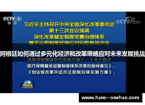阿根廷如何通过多元化经济和改革策略应对未来发展挑战